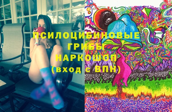 mdpv Богородск