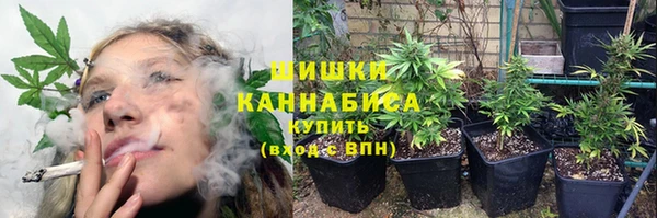 МДПВ Богородицк