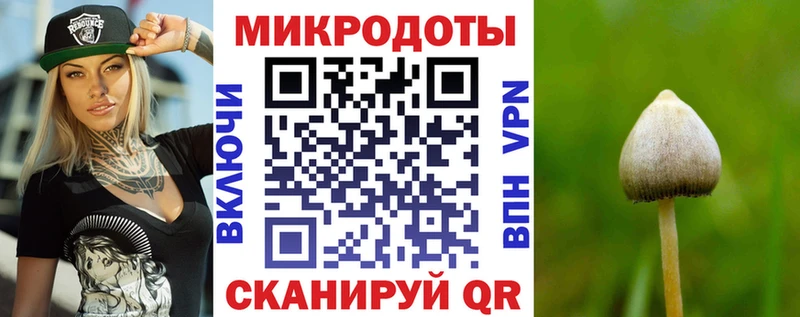 Псилоцибиновые грибы Psilocybine cubensis  Верхотурье 